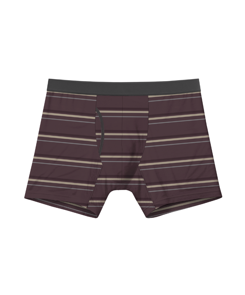 Winter Drop 4 Pack Bamboo Boxer Briefs 5"