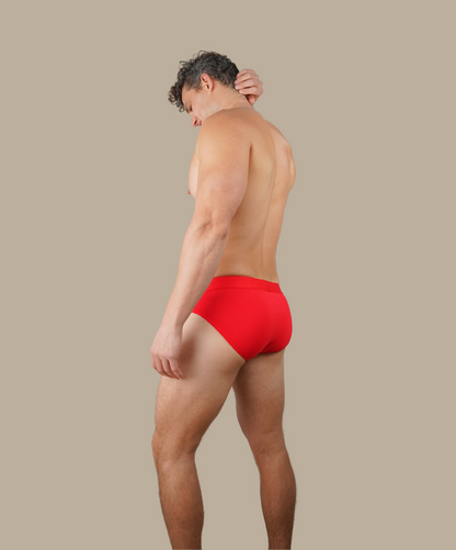 Bamboo Brief