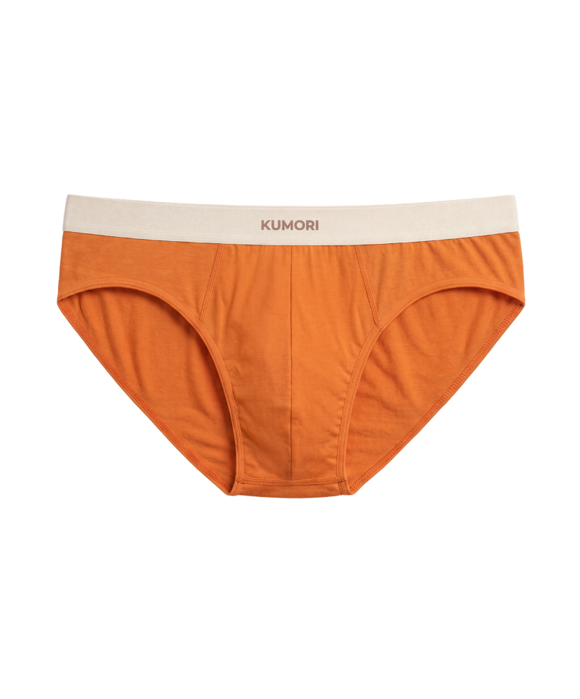 Bamboo Brief