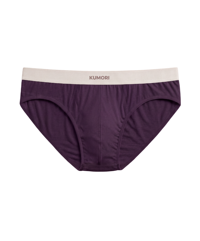 Bamboo Brief