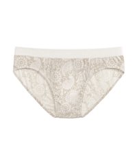 Ivory Paisley