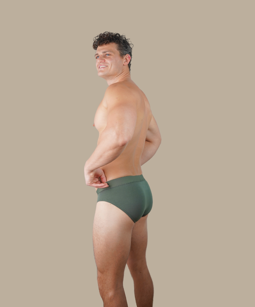 Bamboo Brief