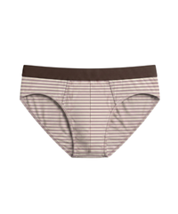 Paloma Stripe