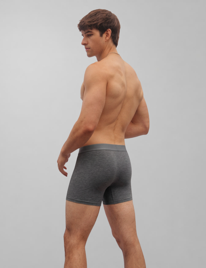 Bamboo Boxer Brief 5" (5-Pack) Classics