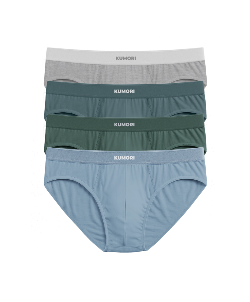 Buy 2 Get 2 Free Bamboo Briefs Core Colors